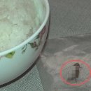 해정식당 이미지