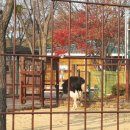 인천대공원(남문) 이미지