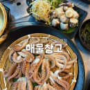 216 | 장유맛집 해물창고 쭈꾸미 코끼리조개 내돈내산후기