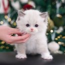 청도펫동물병원 이미지