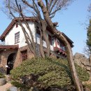 종로구립 박노수미술관 | 서촌 나들이 필수 코스. 종로구립 박노수 미술관