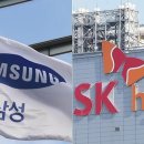 '삼전닉스 싸게 살 기회'…고액 자산가 '2400억' 쓸어담았다 이미지