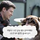 루비 | 넷플릭스 추천 감동 실화 강아지영화 구조견 루비 출연진 줄거리 후기
