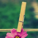 새벽-숲 이미지