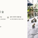 네버엔딩인발리투어