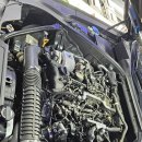 블루디젤모터스 이미지