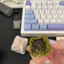 닥터찬의찌개백반전농점 | [블챌] 점심 기록 - 1