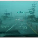 내리해물 이미지