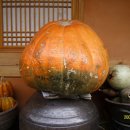 풍성식당 이미지