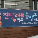 진달래먹고물장구치고 이미지