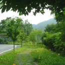 옥순대교 이미지