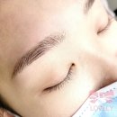 하루눈썹 이미지