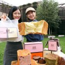 교토마블 이미지