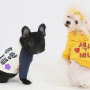 하나의류