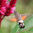 난지천공원 이미지