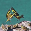 복내초등학교 이미지