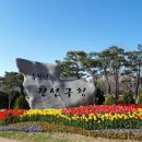 권선구청 중회의실 이미지