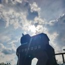 여주-0422 이미지