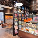 교동광장로 | 강릉 교동 카페 추천 몽슈슈 디저트 롤케이크 맛집 강원도 가볼만한곳