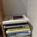 하단동1202 | 하단 에스테틱 스파휘게 내돈내산 후기