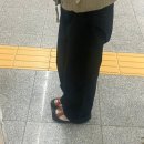 최근 소비 및 약간의 후기 (아르코이리스, 킨 재스퍼, 헌팅캡, 폴리수엠, 오호스, 머쉬룸램프)