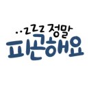 뜨레돌체 이미지