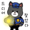 팡팡여행사 이미지
