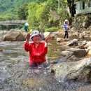 여기조아 이미지