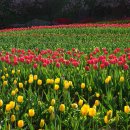 바람의 정원 이미지