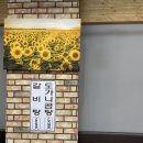 그레이스돈뭉치 이미지