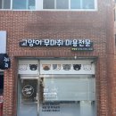고양이무마취미용 고미고미 동삼점 | [부산/화명] 고양이 무마취 미용 잘하는 곳 - 고미고미 화명점 브숏 미용 후기 🐈