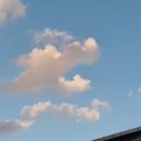 자유시장(왕만두 앞 버스정류장) 이미지