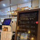 조례동 티스토리
