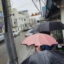 선산약국 이미지