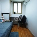 비젼(229) 이미지