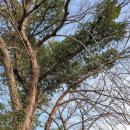 보성봉강리 정씨고택 삼의당 이미지