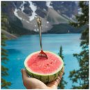 여름철 건강의 파수꾼 8월 3일 (일)은 제14주년 수박의 날 이미지