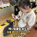 송도 아이랑 가볼만한 곳 동물체험과 키즈카페를 한 번에! 애니멀클럽 송도 후기