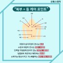 선에스테틱 이미지