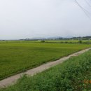 용동1리 이미지