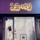 의정부역 네일샵 아트잘하는 늘솜네일 젤파츠네일 받은 후기