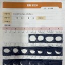 스텔라리움 | [지학사] 6학년 과학 보완 단원 밤하늘 관찰