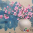 고요가 Daum카페