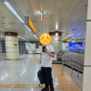 ㈜하나환경중구지점 | 기대가 컸지만 그에 미치지 못했던 서울청년정책박람회