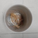 라탄으로 만드는 감성 인테리어 소품 이미지