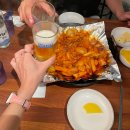 유주펫 | 10월 제주도 일주일 살기 1-3일차