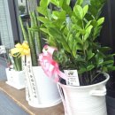 모닝마트호암점 이미지