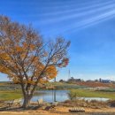 저동마을회관 이미지