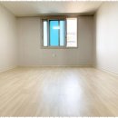 프로공인중개사사무소 이미지