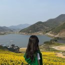 봉북회관 | 구례여행 벚꽃길 코스 : 바꿈살이, 목월빵집, 오차커피공방, 지리산치즈랜드, 현천마을 산수유